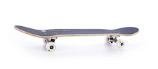free-spirit-skateboard-1
