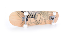 free-spirit-skateboard-4