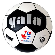 Nohejbalový míč Gala 5042S