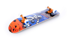 EXPLORATE skateboard Tempish 5