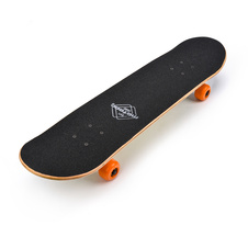 Skateboard-Meteor-Wild Line-2